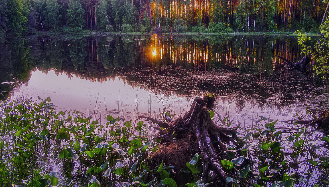 Лесное озеро - DeDa_Anry Volchin