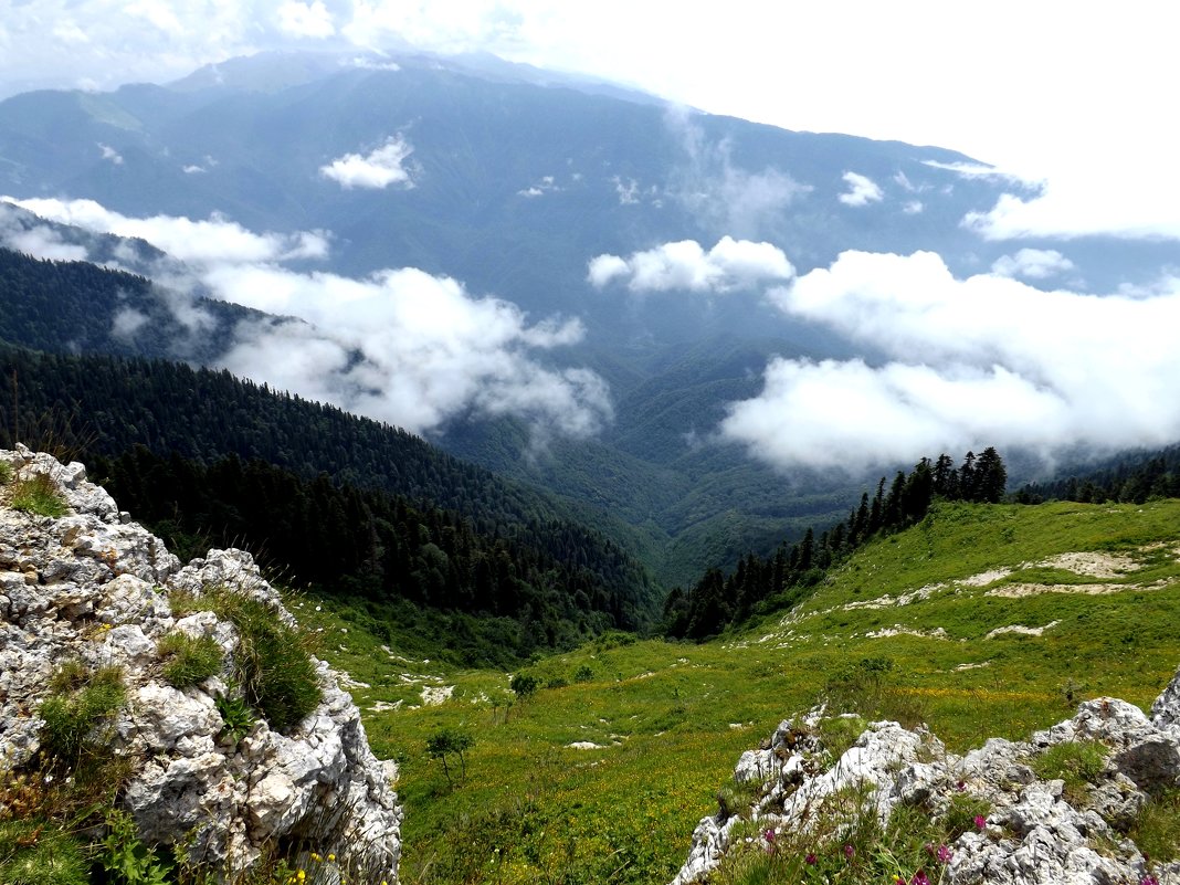 Кавказ, Абхазия, горы. - Наталья 