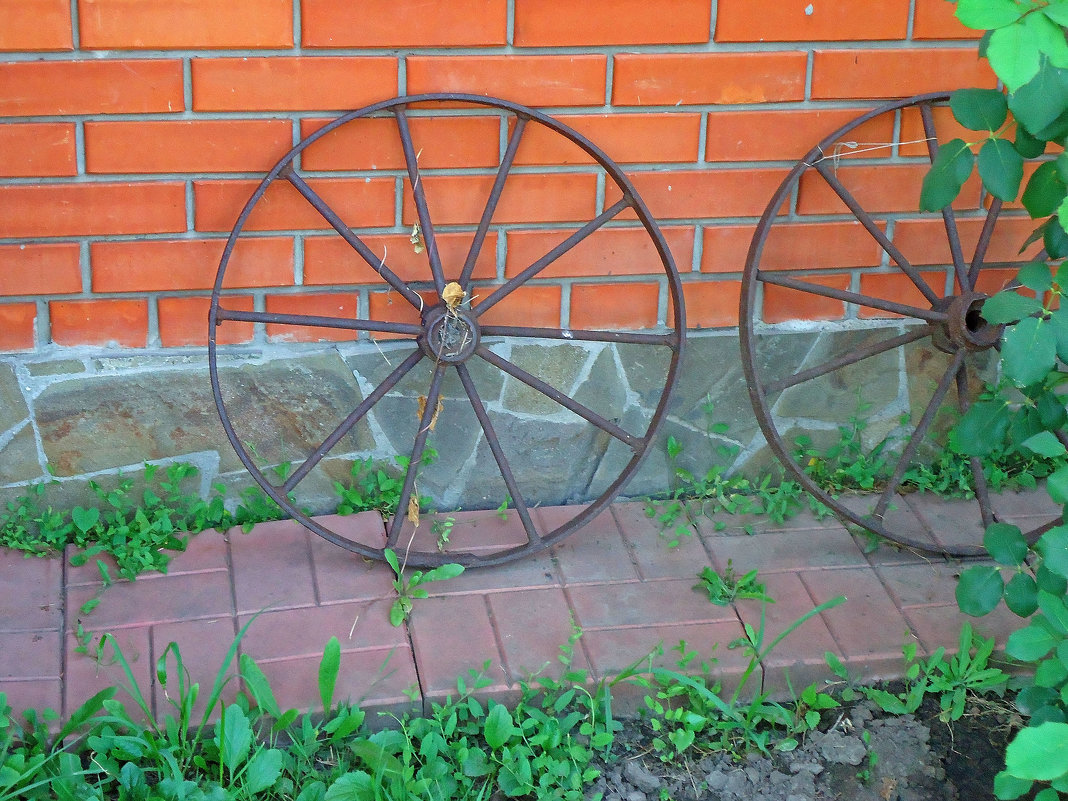 Старое колесо - Виктория Власова