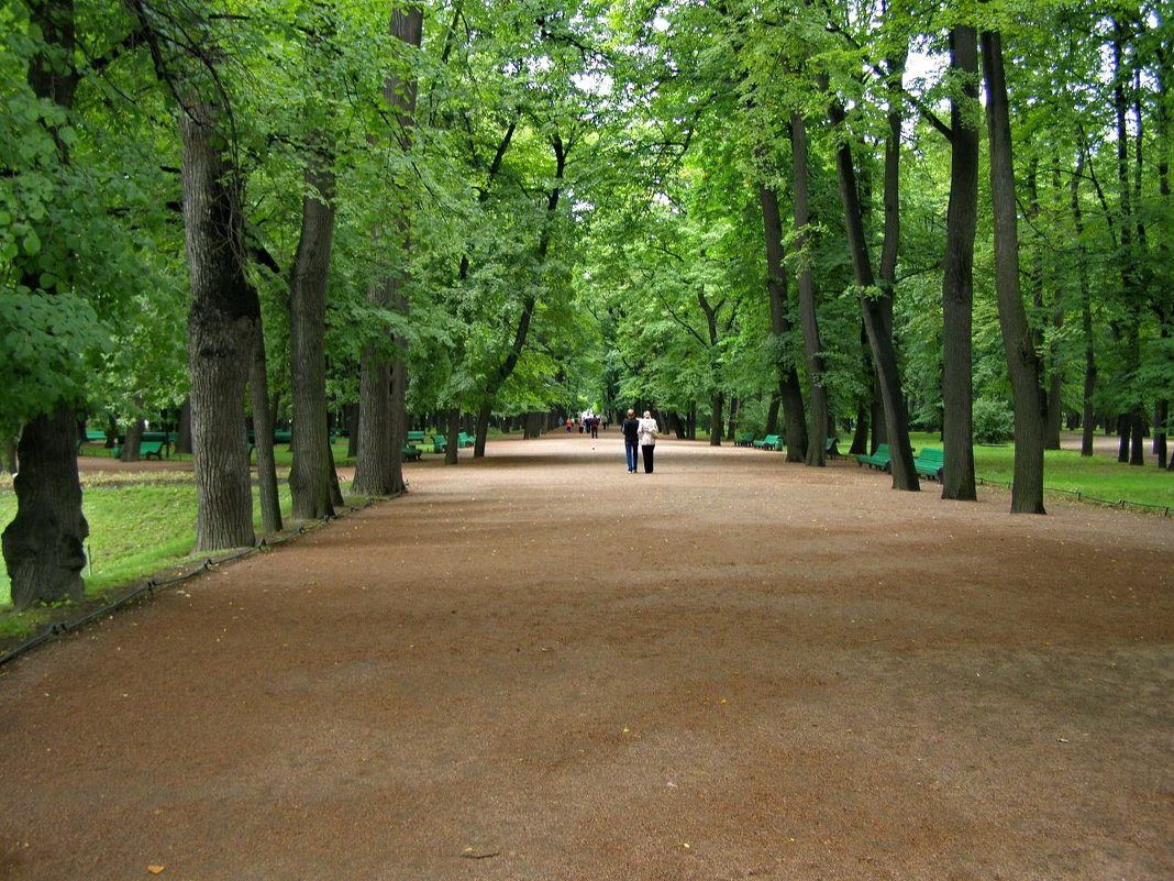 В парке - Владимир Константинов
