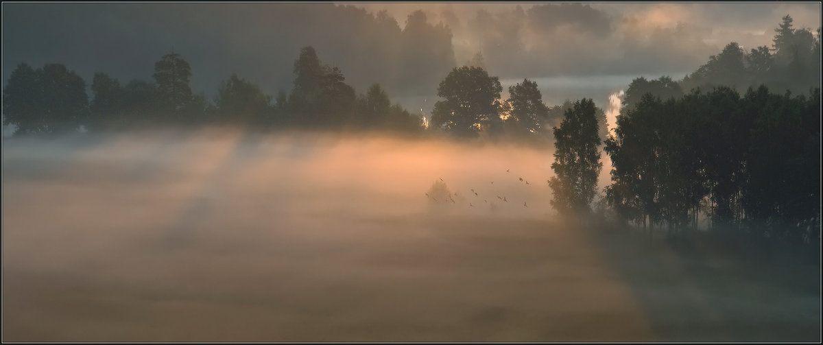 Птицы в тумане - Надежда Лаврова