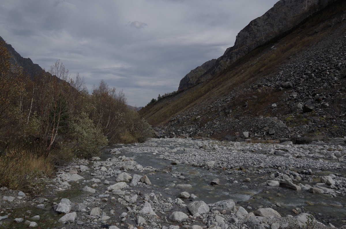 Цейское ущелье, Северная Осетия. - Andrad59 -----