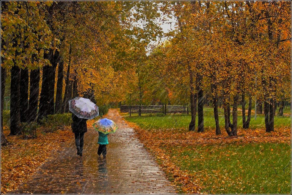 Осень,дождь,зонты... - Виктор Колмогоров