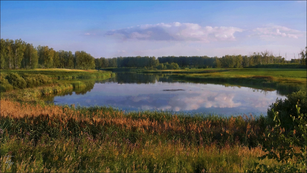 Там,где водятся цапли... - Тарасенко Владимир 