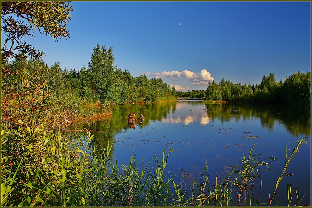 лесное озеро - Дмитрий Анцыферов