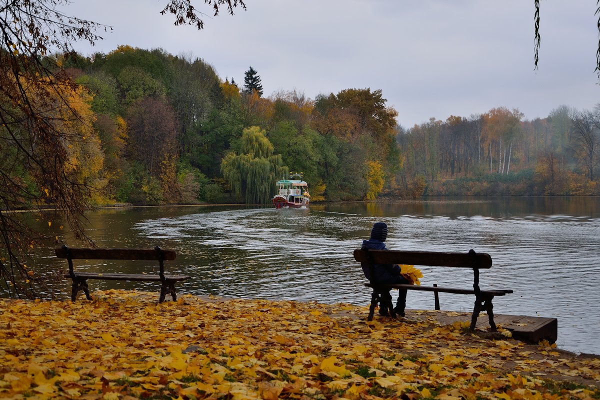 Осень - Роман 