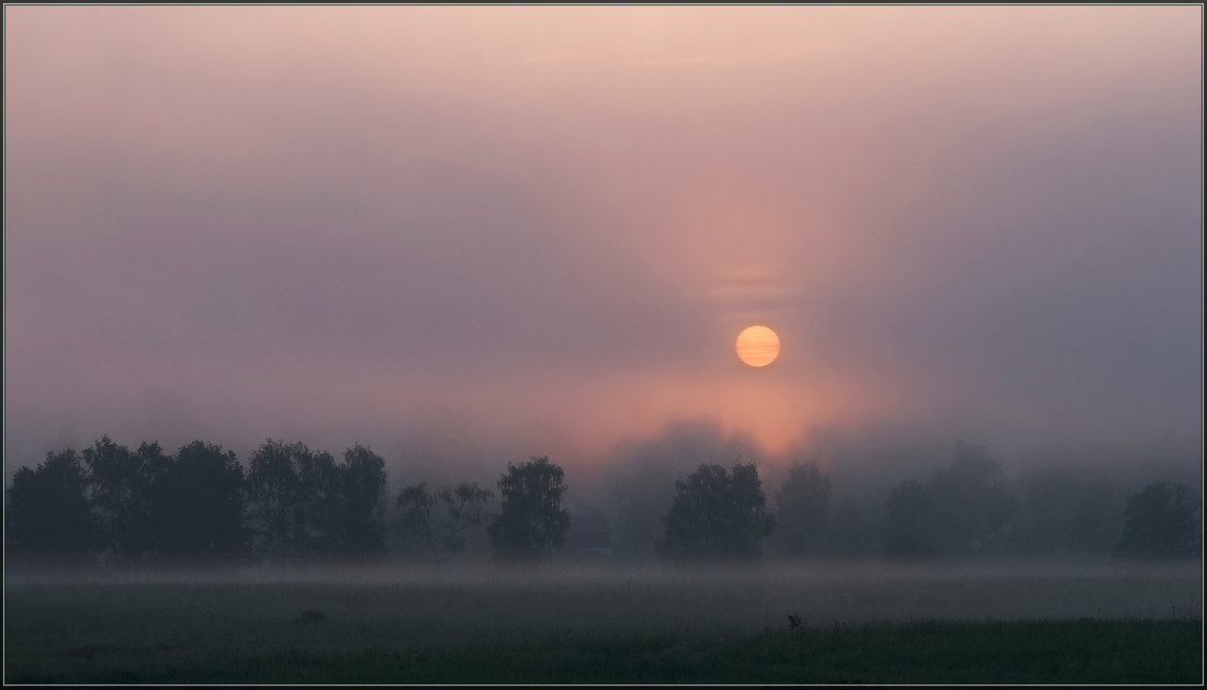 Солнце в тумане - Надежда Лаврова