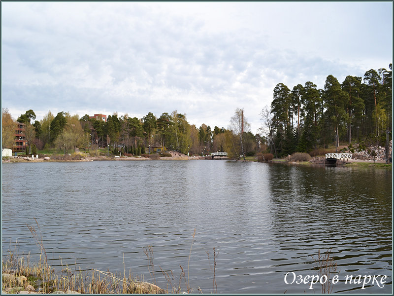 Озеро в парке - Lyubov Zomova