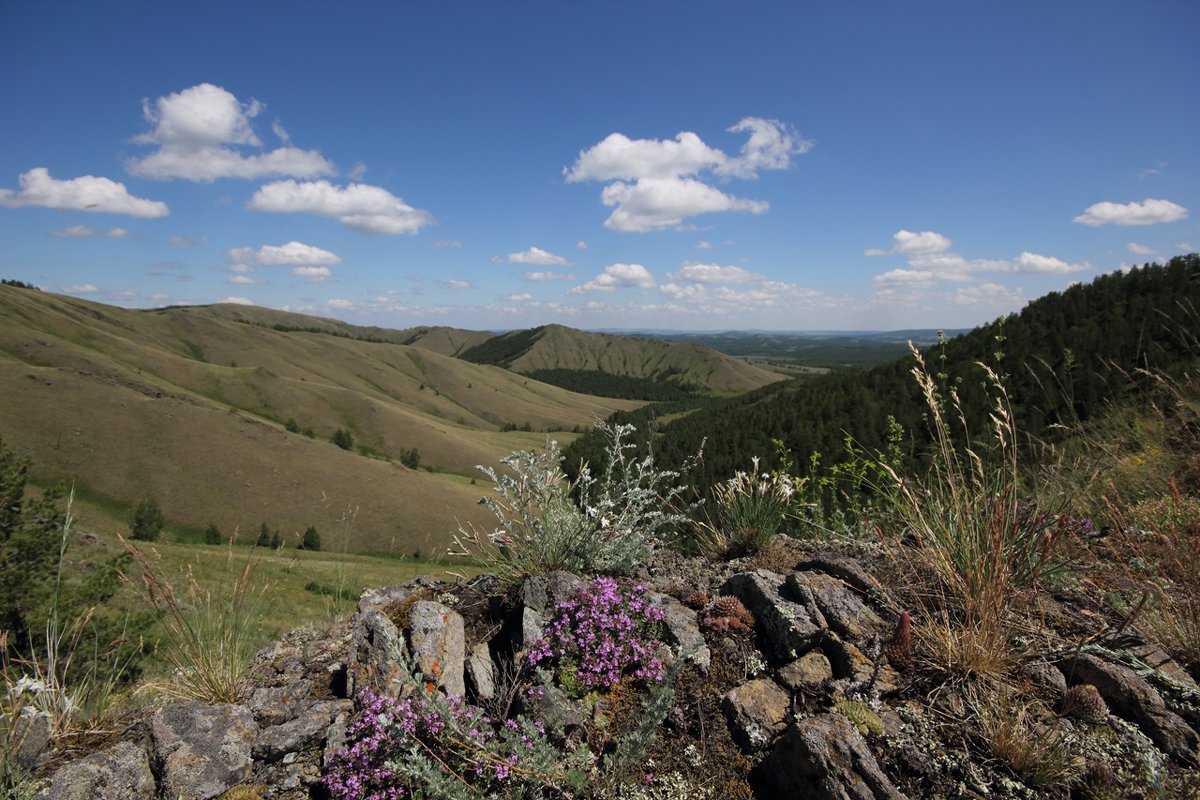 Уральская альпийская горка - Мария 