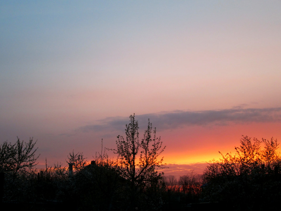 Апрельский закат над садами... - Тамара (st.tamara)