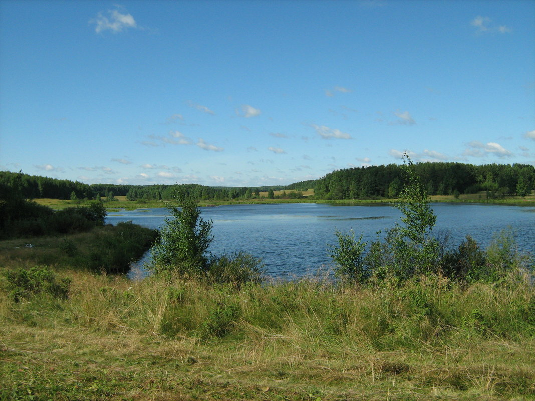 Верхнетуринский пруд. Средний Урал - Larissa1425 M