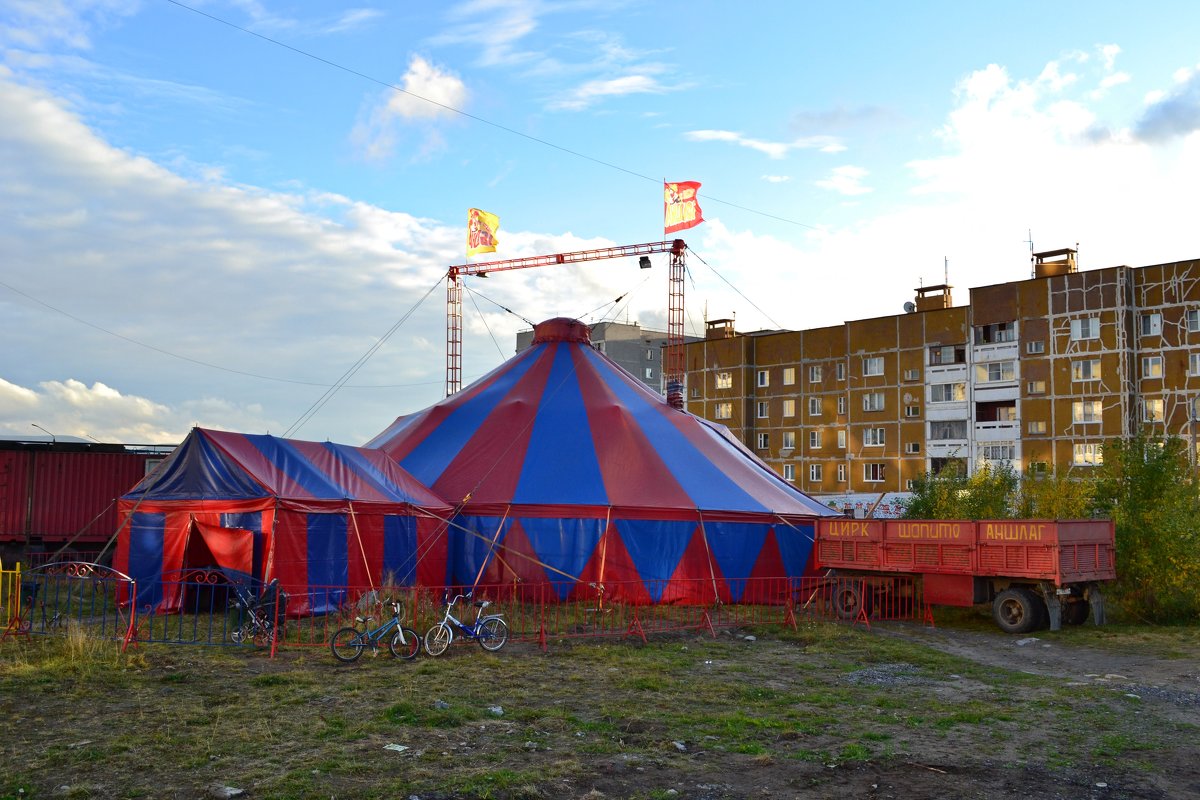 В городе цирк - Ольга 