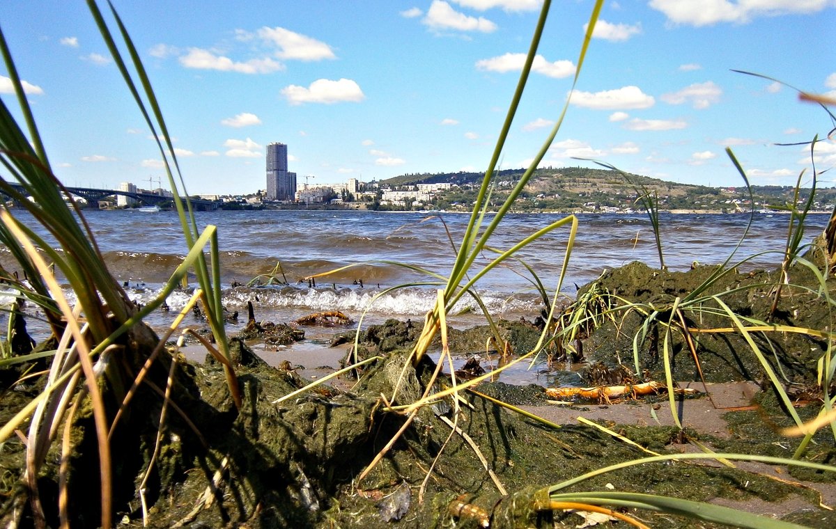 Саратов. Городской пляж - Лариса Коломиец