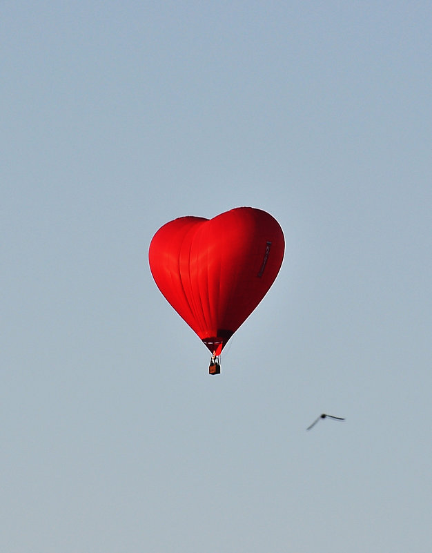 Воздушный шар-сердце - Oleg Khot