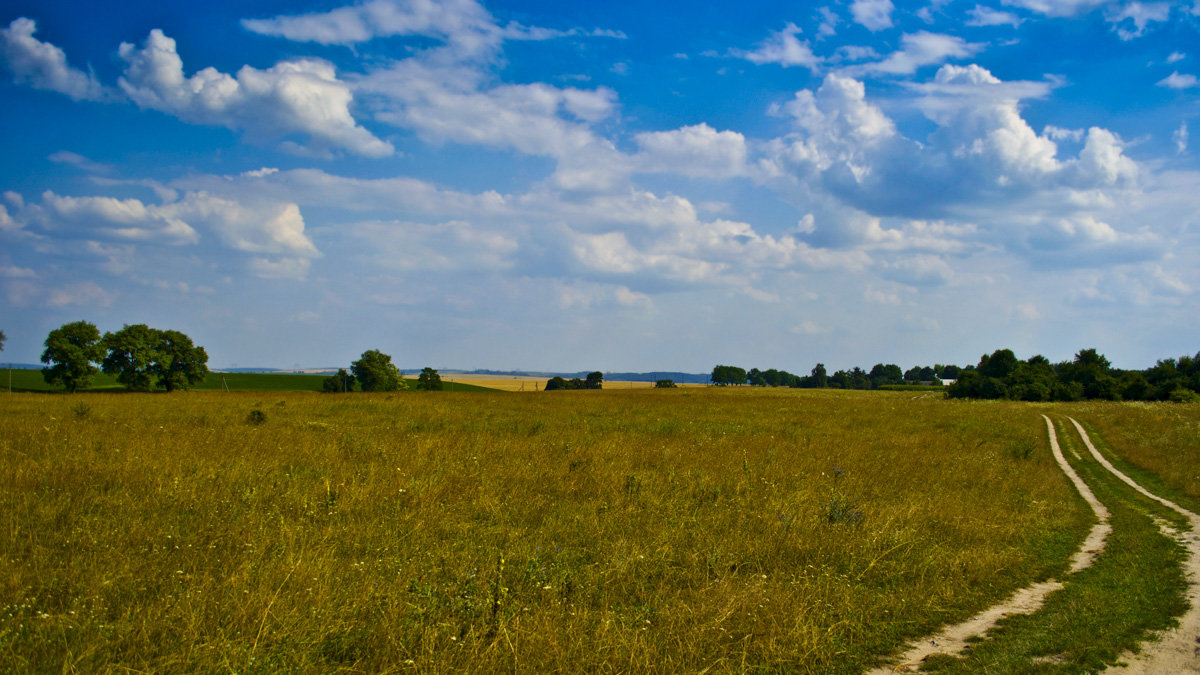 Дорога в село - Тарас Грушивский