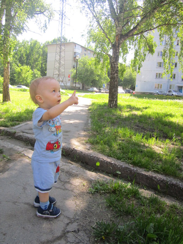 Познание природы. - Мила Бовкун