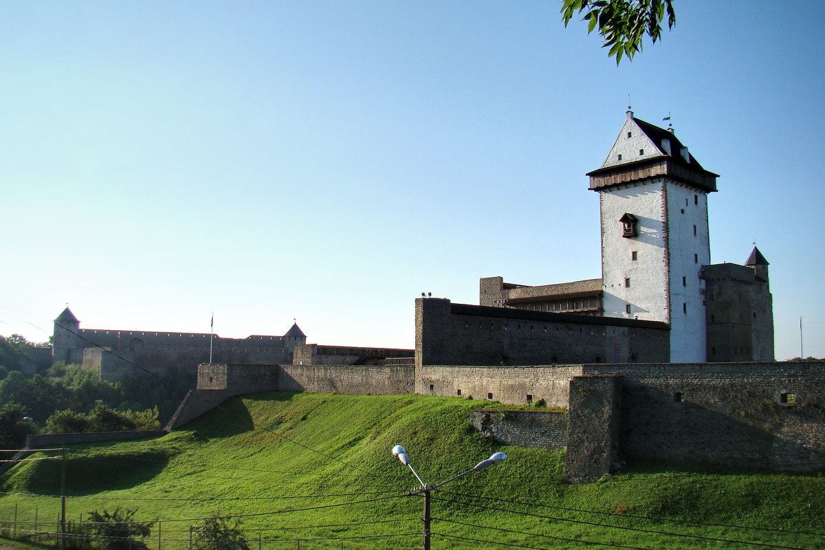 крепость - linnud 