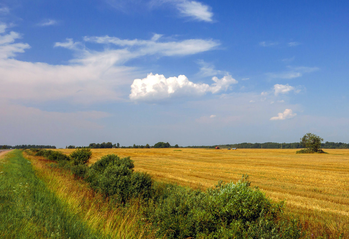 *** - Александр Рамус