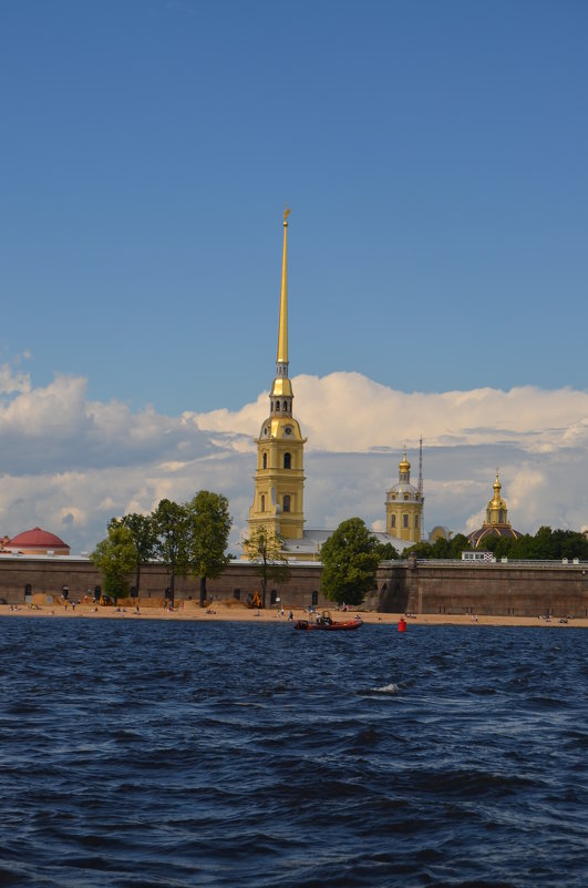 Колокольня Петропавловского собора - Алёна Мартынцова