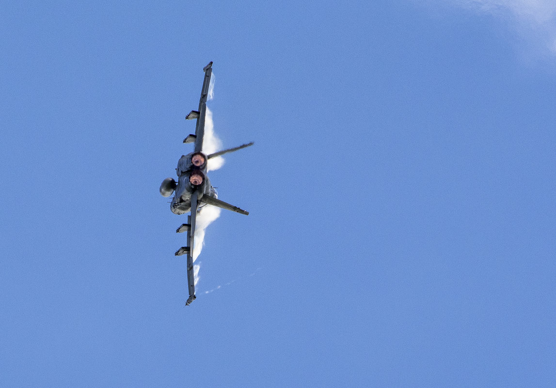 CF-18, Hornet - Сергей Бушуев