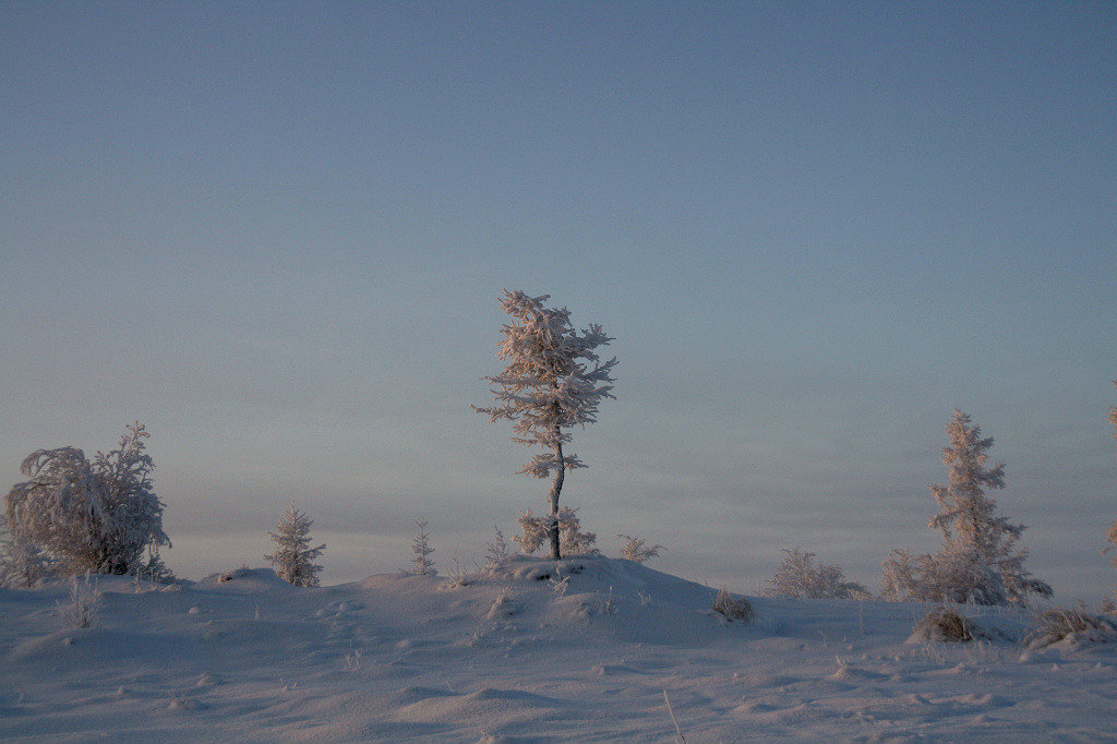Зима - Вера Саитхужина