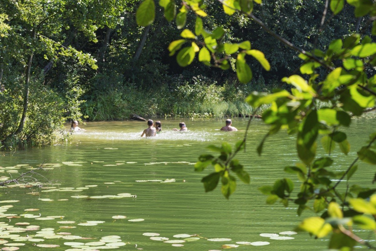 купание в лесном озере - Владимир Фомин