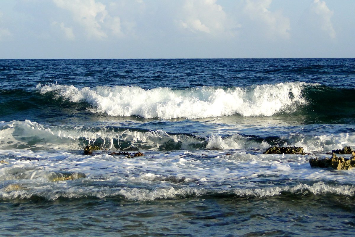 Волны Карибского моря - Елена Шемякина