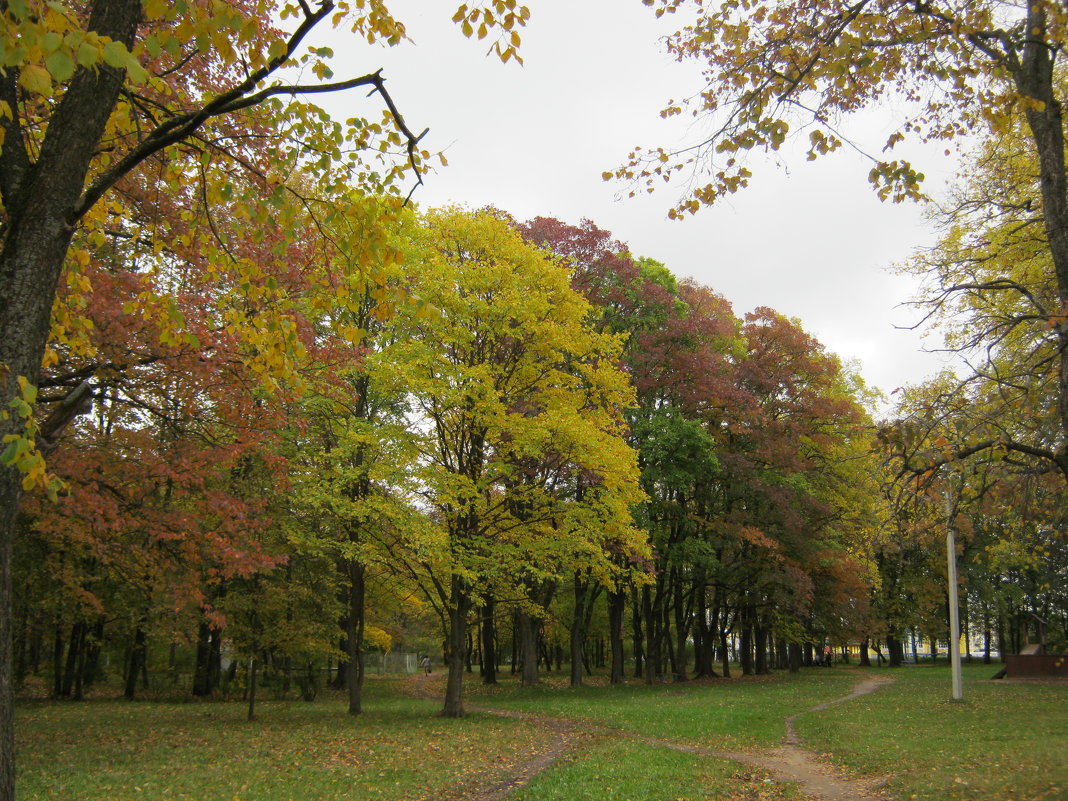 Осенний парк - галина 