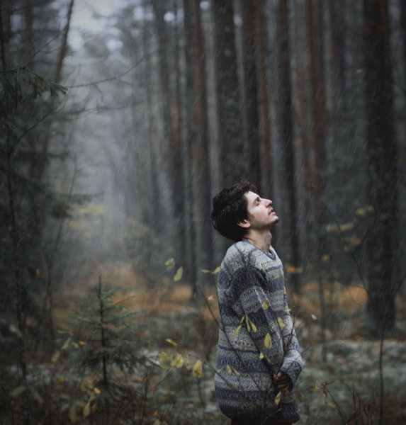 Холодное дыханье леса - Дарья Сивачук