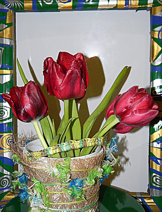 тюльпаны - Надежда 