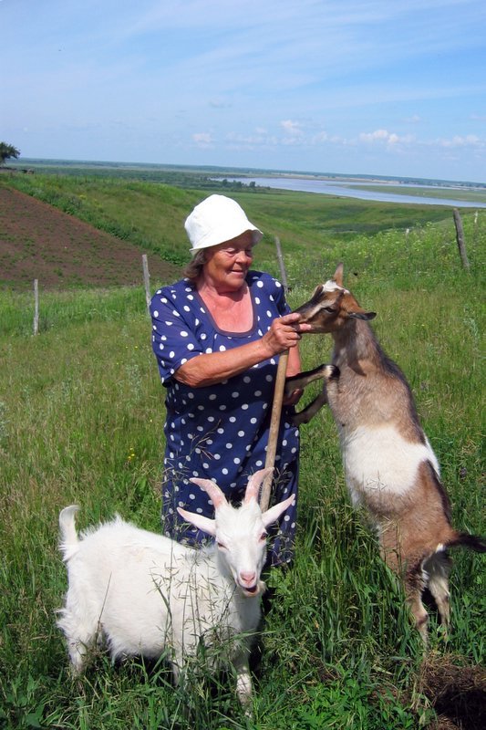 Деревенские зарисовки. На фоне реки Белой. - Alina 