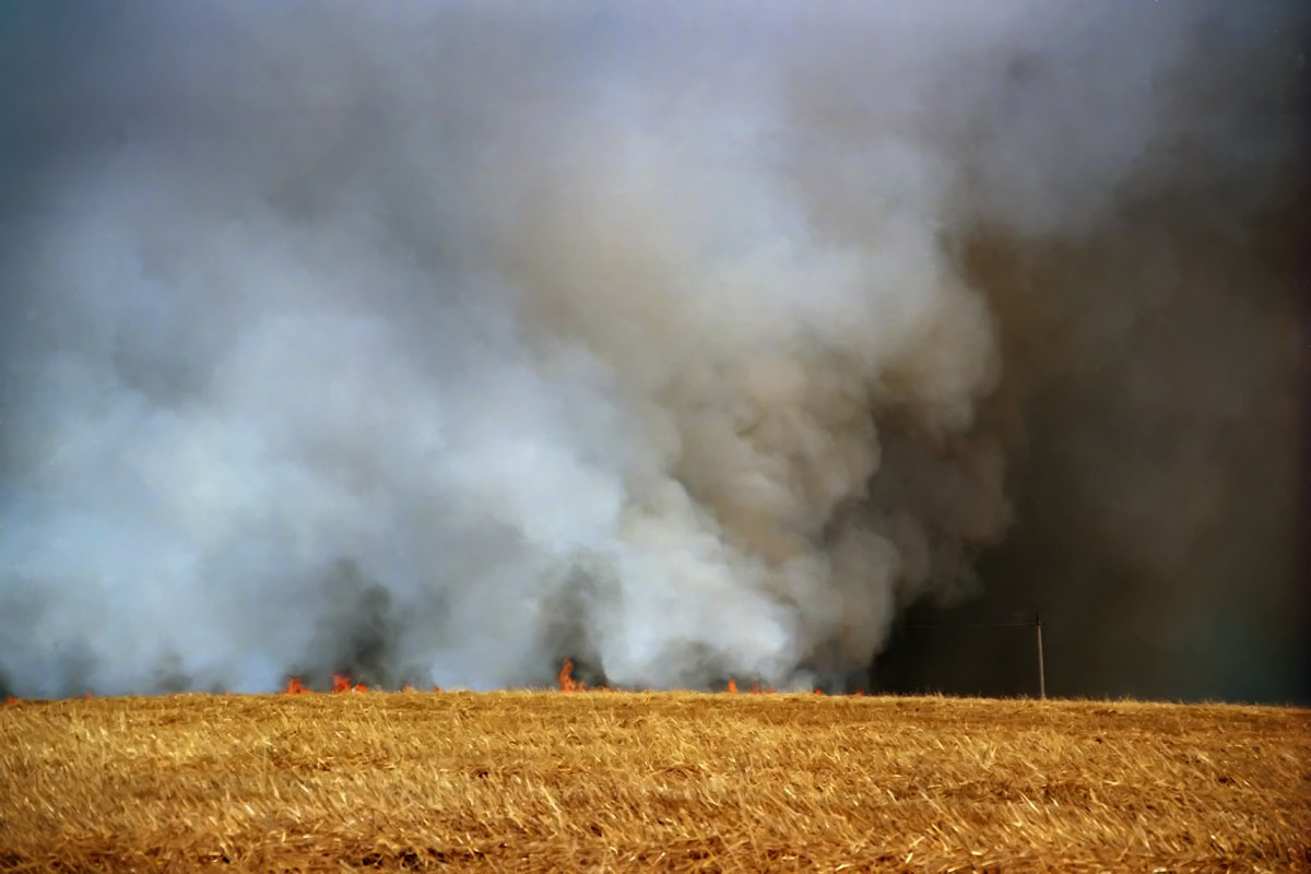 Пожар на ячменном поле - Валерий Талашов