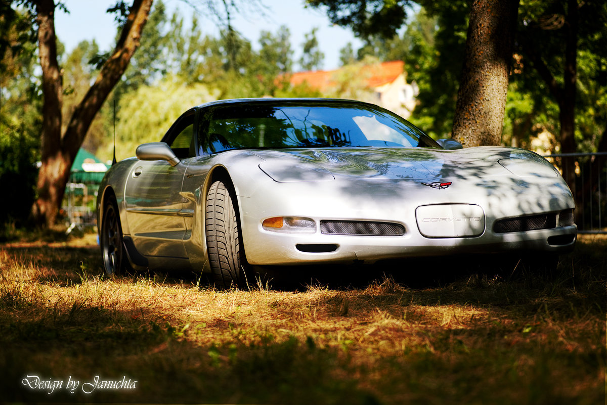 Corvette - American Dream Carshow - Łeba 2014r - Janusz Wrzesień