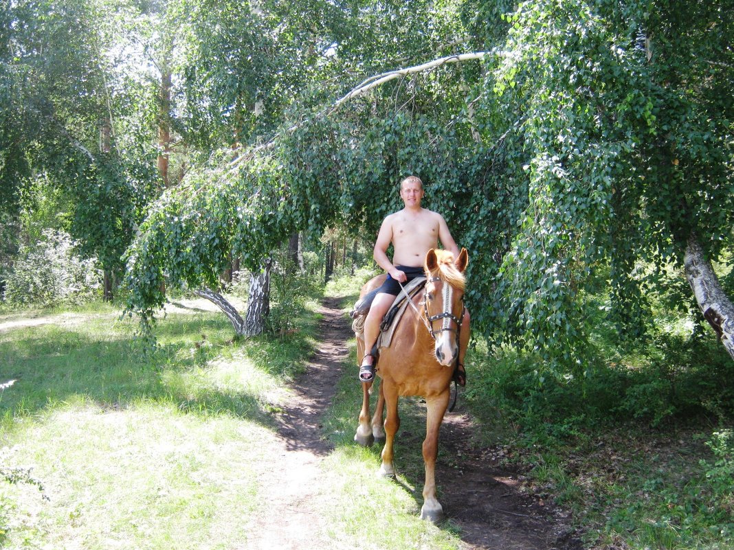 Рыцарь на рыжем коне - Татьяна Ильина