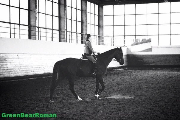 Horse - Roman GreenBear