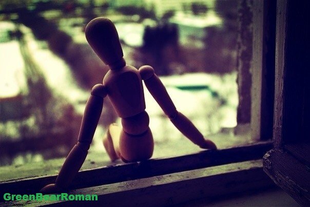 WINDOW - Roman GreenBear