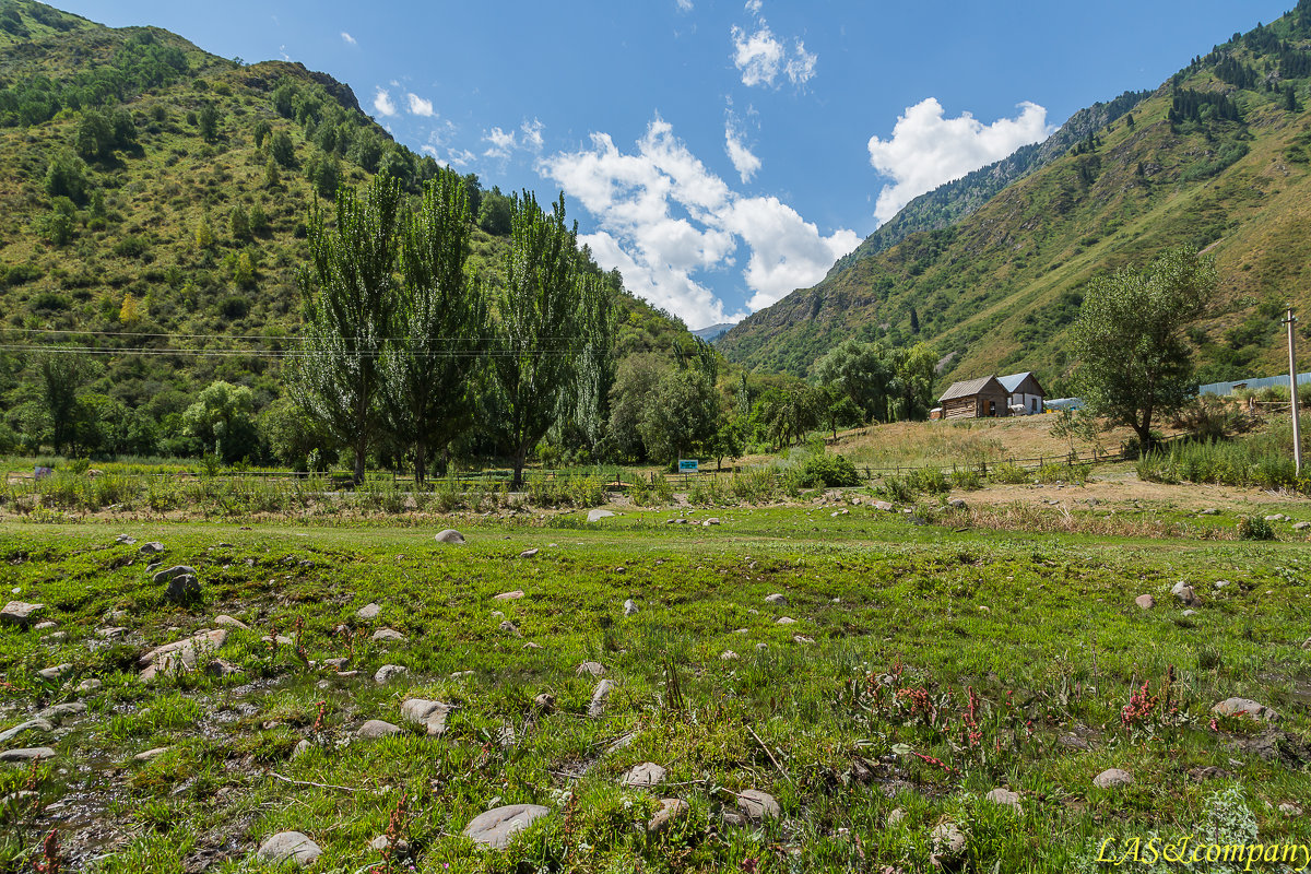 Тургень - Александр Лунев