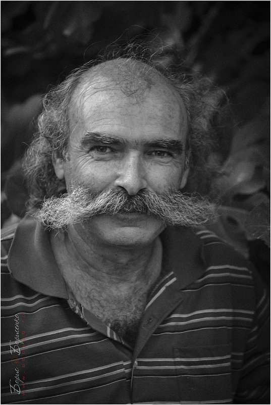 Портрет греческого моряка - Борис Борисенко