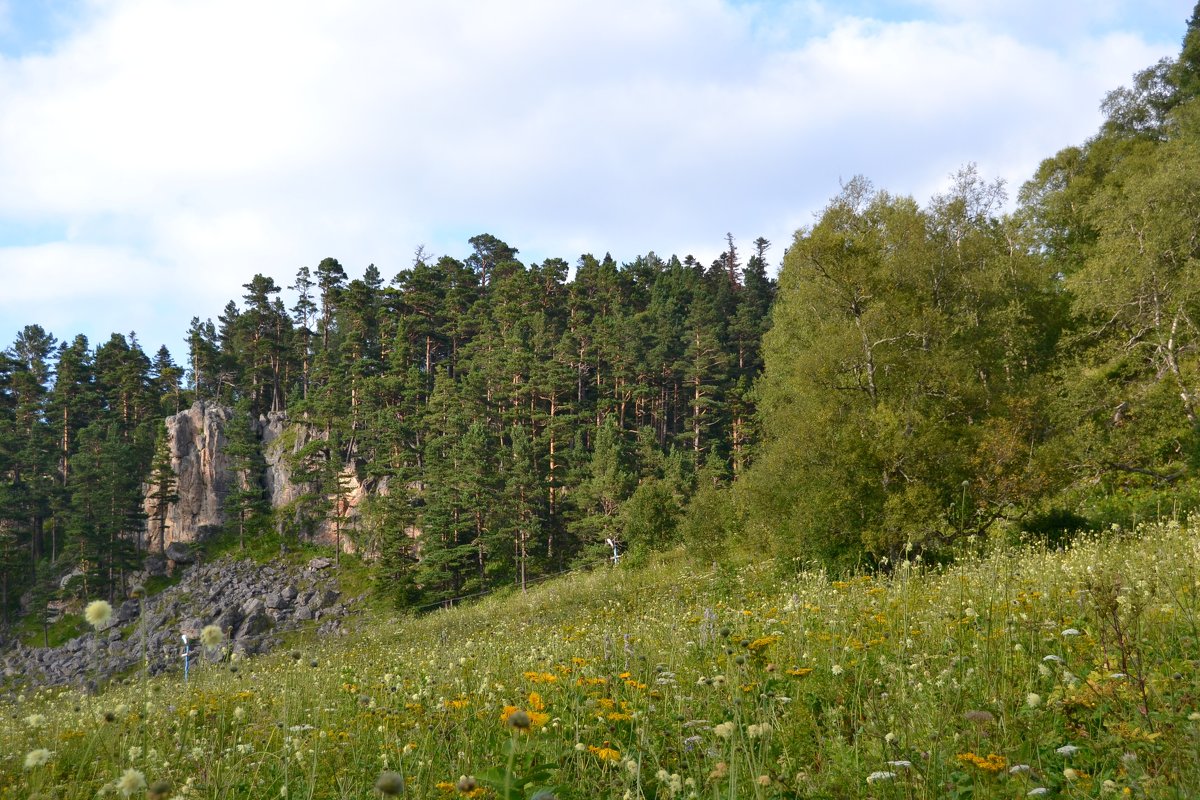 * * * - zhanna-zakutnaya З.