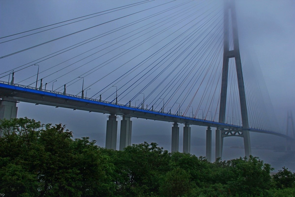 Мост на острове Русский - Нина Борисова