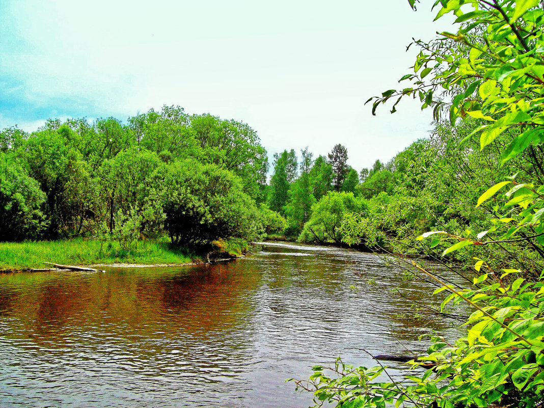 Река Олха - alemigun 
