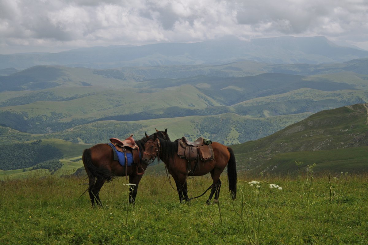 Лошадки - Serdechko (Лариса) Кальнина