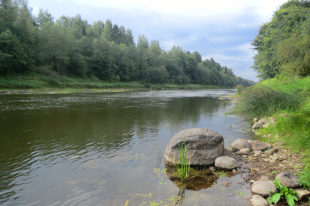 Река Западная Двина... - Владимир Павлов