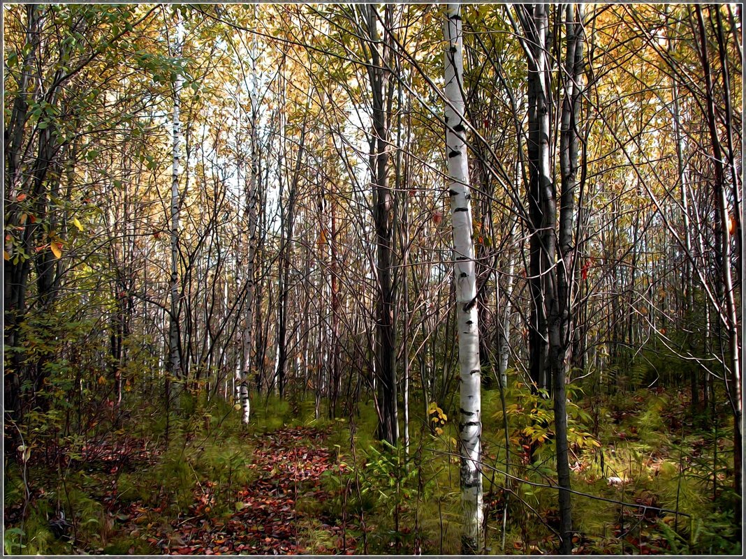 Осенний лес - Любовь Чунарёва
