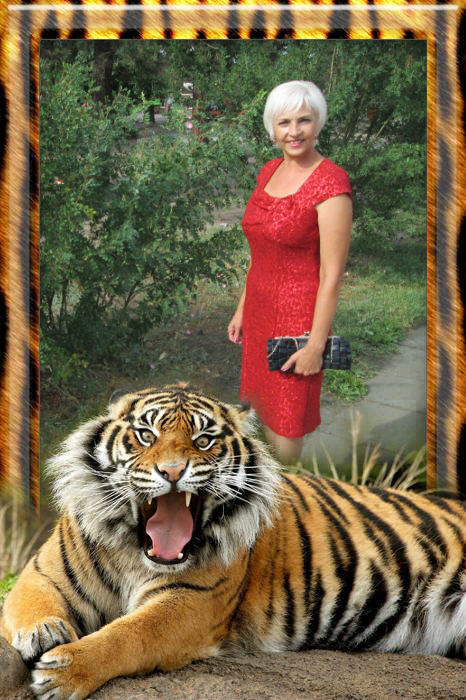Тигрициа с тигром - Stratiere 