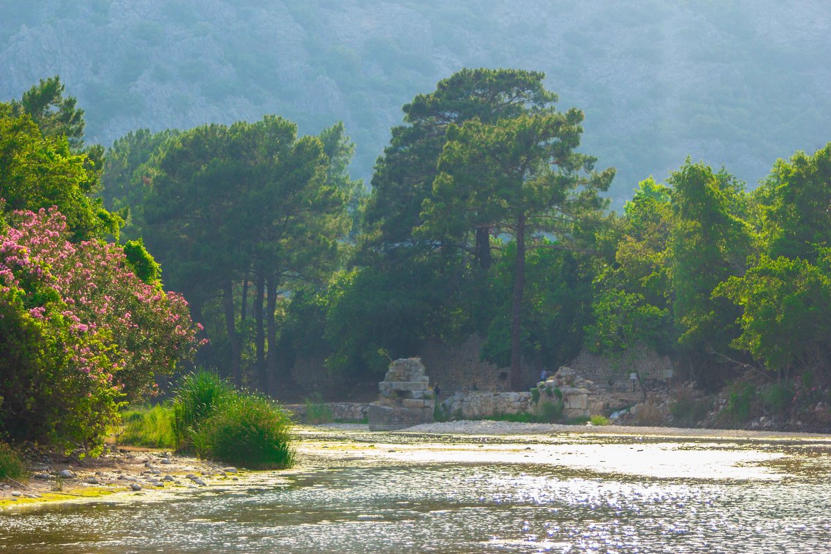 Olympos - Yelena Li