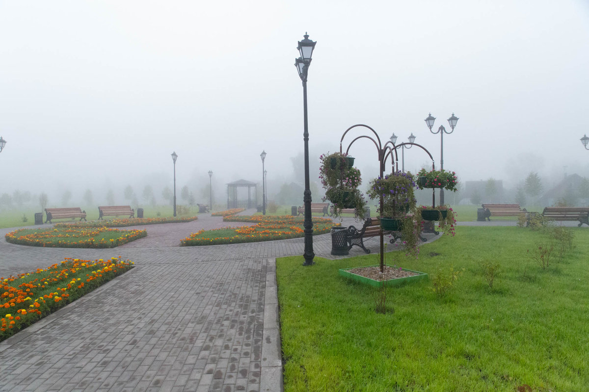 туман в маленьком парке - Александр фотограф