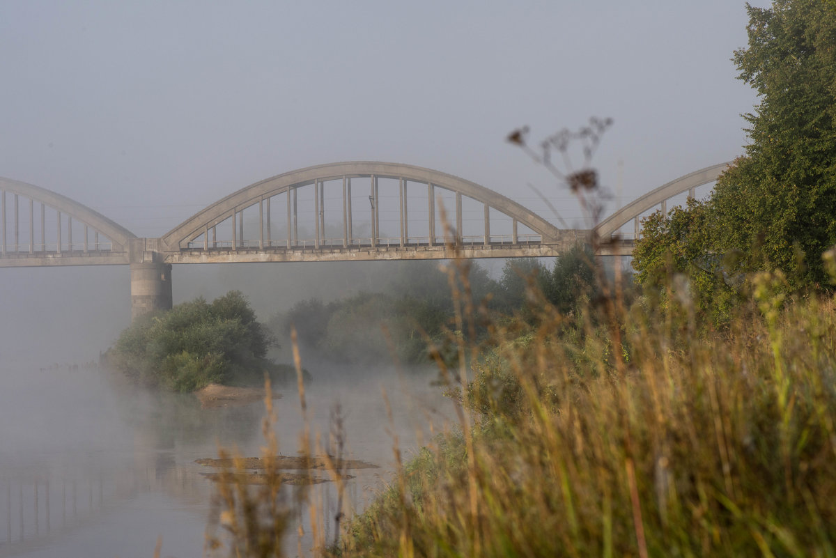 Мост - Иван Щербина