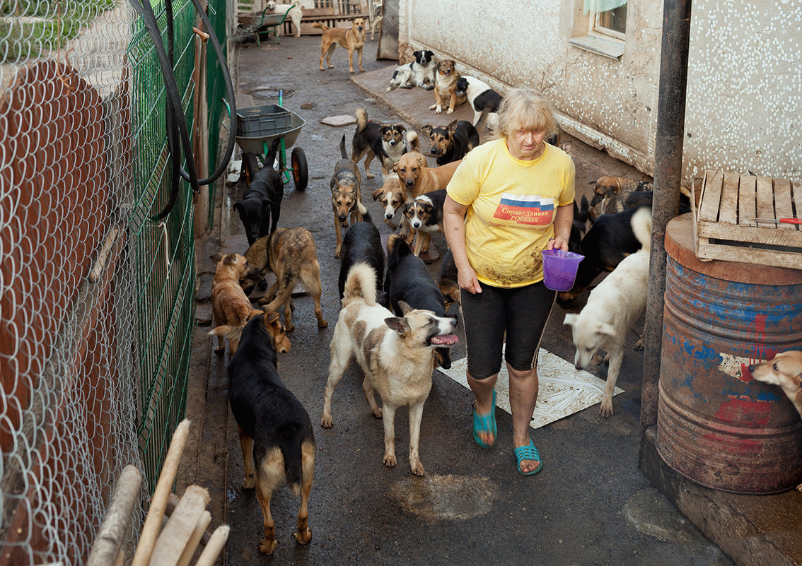 Будни приюта бездомных собак - Анатолий Тимофеев