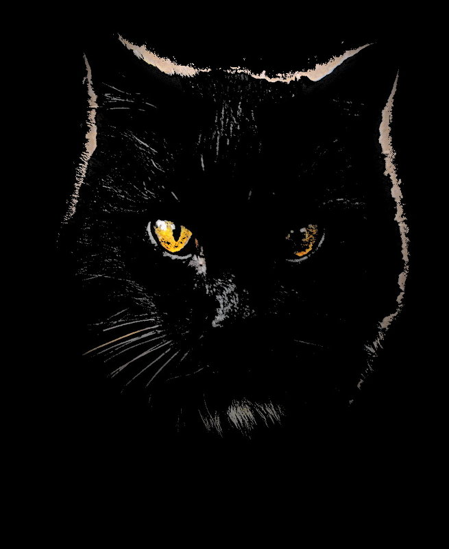 Портрет черного кота - tankist Алексей